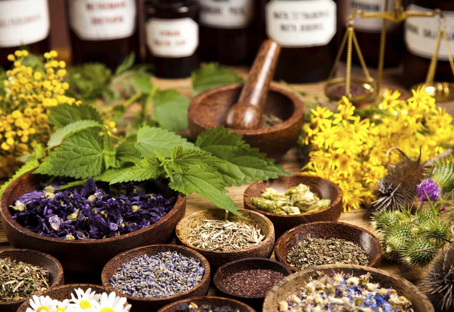 6 Common Homeopathy Medicines You Should Keep at Home
