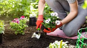 9 Way to Get Your Garden Ready for Spring